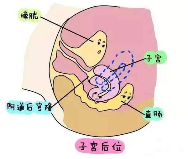 昆明代孕户口,昆明新生儿医保办理需要什么材料